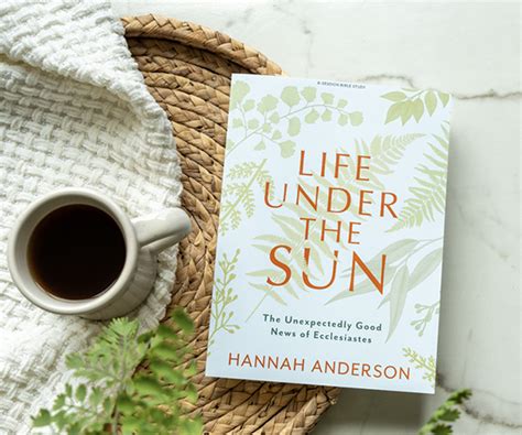 New "Life Under the Sun" Bible Study | Read an Excerpt - Lifeway Women