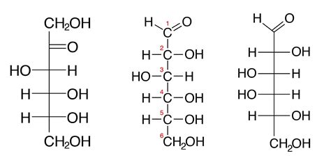 Basic Carbohydrate Chemical Structure