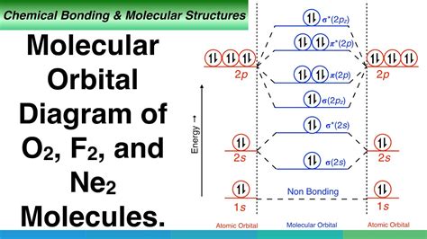 O2 Molecular Orbital Diagram Bond Order