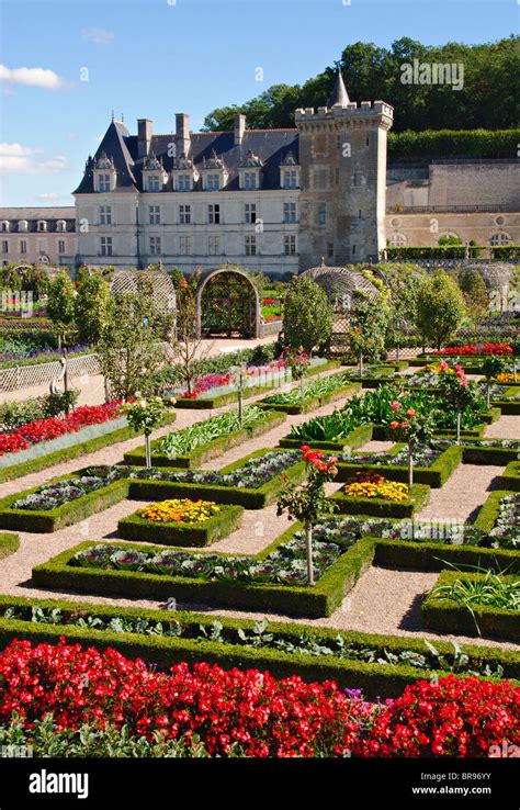 Gardens of the Chateau de Villandry,Indre et Loire, France Stock Photo ...