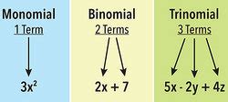 Examples of Monomials and Polynomials