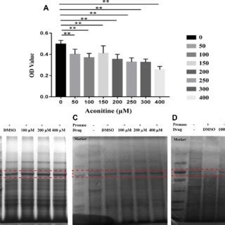 Effects of different concentrations of aconitine on H9c2 cell viability ...