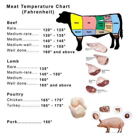 Chart For Temperatures For Cooking Meat