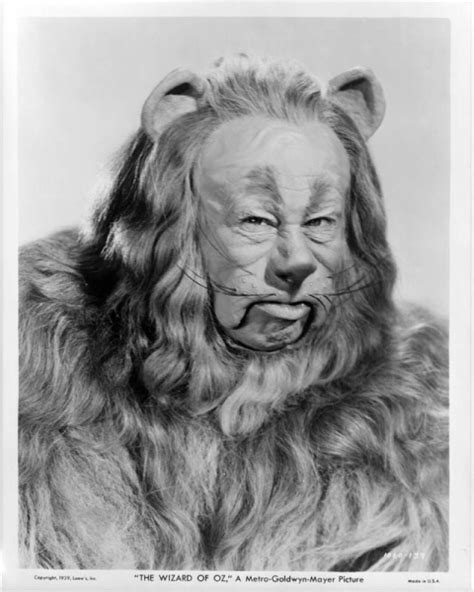 A Rare Photo Of The Cowardly Lion - The Wizard of Oz Photo (7066744 ...