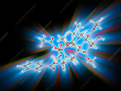 Aconitine poison molecule - Stock Image - F017/0151 - Science Photo Library