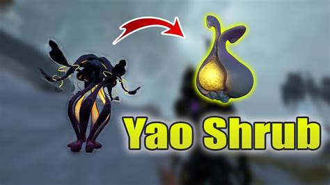 How to get Yao Shrub | Warframe Duviri Paradox - YouTube