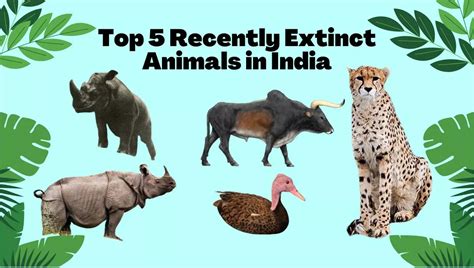 extinct animals in india | Animal Species