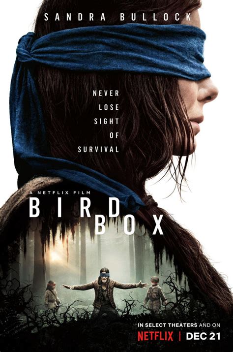 Movie Review : Bird Box – The Wilson Billboard