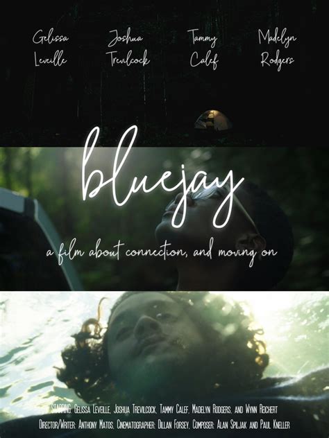 blue jay - FilmFreeway