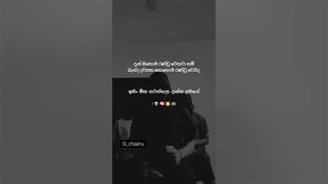 මං නිකන් කිවුවේ😹😂 Sinhala wadan / quotes / Sara wadan / tiktokvideo ...