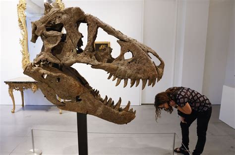 Sotheby's to auction one of the most complete T-rex skulls ever ...