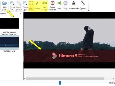 How to Remove Filmora Watermark