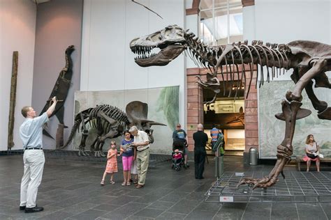 Naturmuseum Senckenberg - One of the Top Attractions in Frankfurt ...