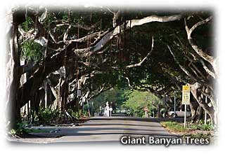 Sightseeing - Coral Gables, FL -- Great Gables Guide