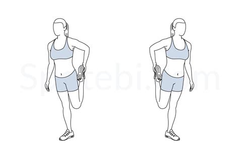 Quad Stretch | Illustrated Exercise Guide