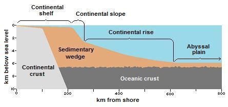 Four Types Of Ocean Floors | Viewfloor.co