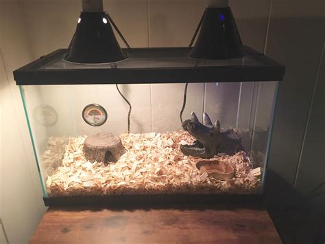 Corn Snake Habitat Set-Up Help : r/snakes