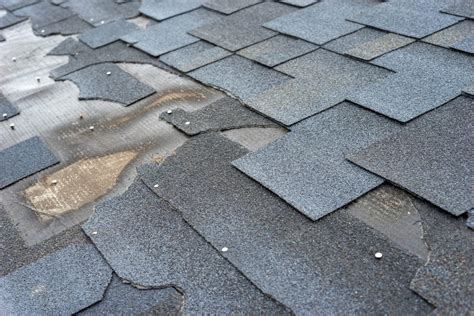 Finding Hidden Roof Damage After a Storm in Florida - Hurricane Damage