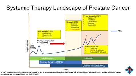 Prostate Cancer: Clinical Guidelines, Novel Therapies, and Therapeutic ...