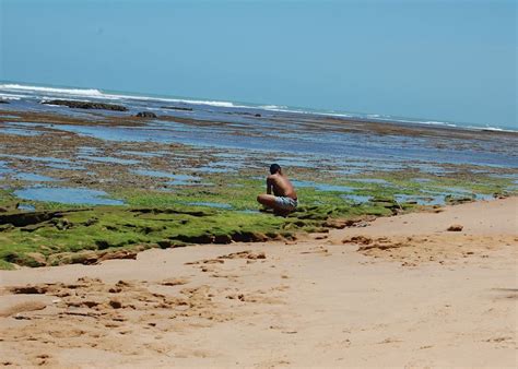 Visit Praia do Forte on a trip to Brazil | Audley Travel UK