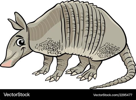 Armadillo animal cartoon Royalty Free Vector Image