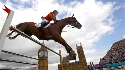 Manejo Básico: caballo de salto | Mundo Equino