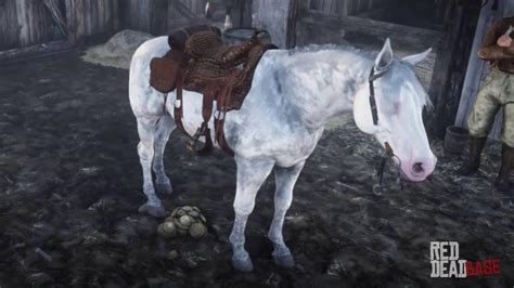 Nokota Horse | RDR2 Horse Breeds Coats, Locations & Stats