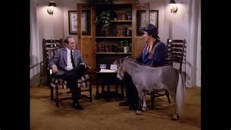 "Newhart" Vermont Today (TV Episode 1984) - IMDb