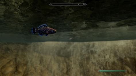 Complete Skyrim Fishing Guide: Swims-In-Deep-Water’s Challenges and ...