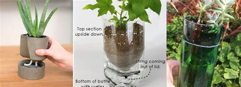 20 DIY Self Watering Planters