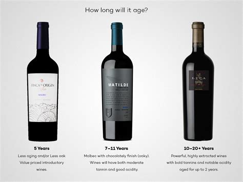 Mastering Mendoza Malbec | Wine Folly