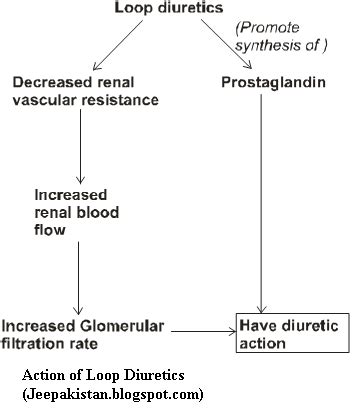 Your Source of Information: Loop diuretics