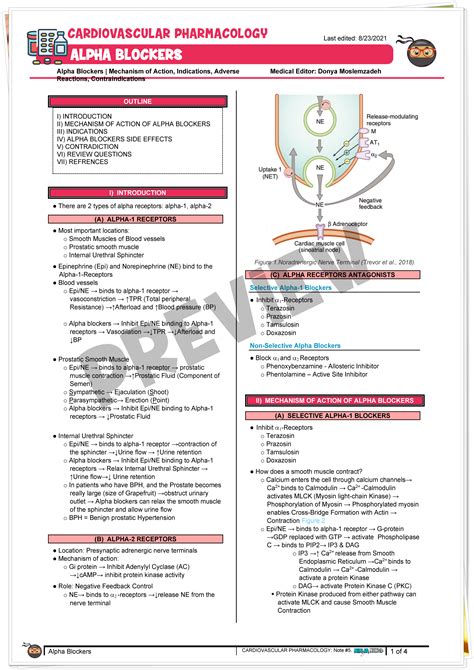 Alpha Blockers | Mechanism of Action, Indications, Adverse Reactions ...