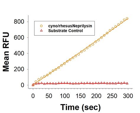 Recombinant Cynomolgus/Rhesus Neprilysin/CD10 His Protein CF 10834-ZN ...