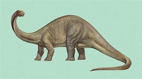 Scientists Say It's Time to Reinstate the Brontosaurus | WIRED