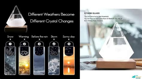 Storm Glass Weather Predictor Review - The Weather Station