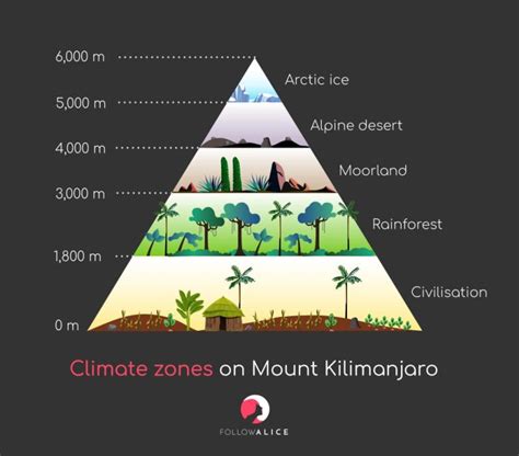 Mount Kilimanjaro's amazing range of climates