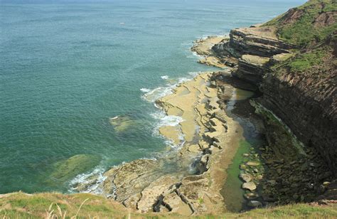 Steve's Birding And Wildlife Blog.: Fantastic Filey and Arctic stunner