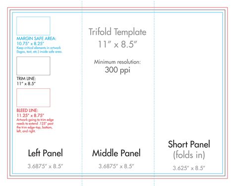 11X8 5 Tri Fold Brochure Template