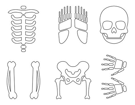 Skeleton Bones Template For Costumes - Printable Word Searches