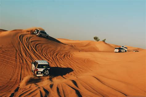 All You Need To Know about Desert Safari Adventure in Dubai | Veena World