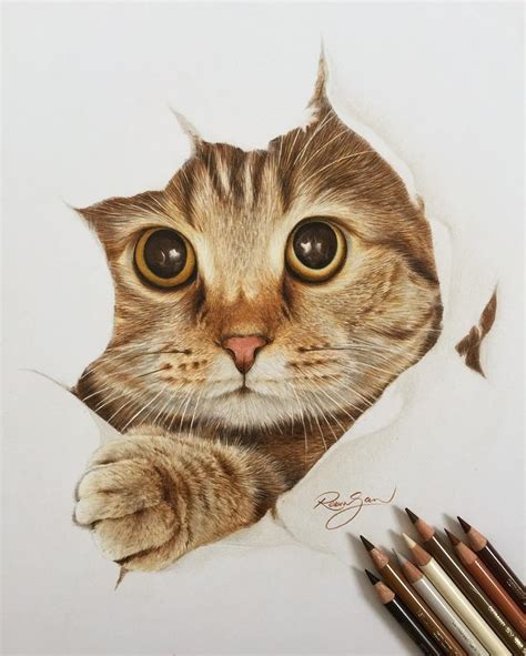 Realistic Color Pencil Animal Drawings