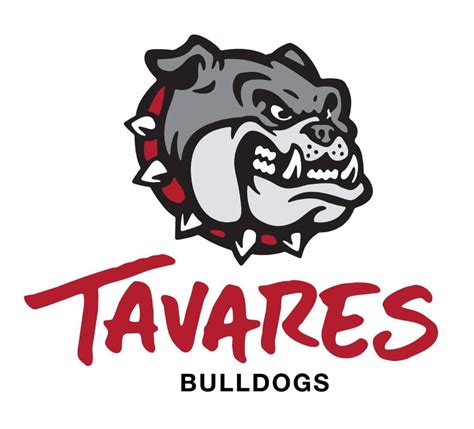 Tavares High School Introduces New School Logo