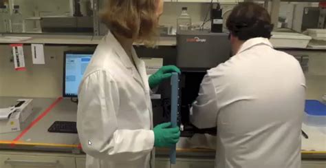 How to detect mycoplasma contamination by PCR- PromoCell