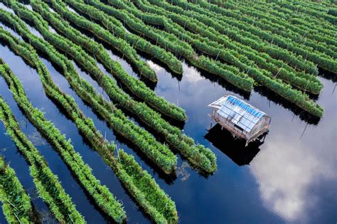 Inle Lake landscape | RECOFTC