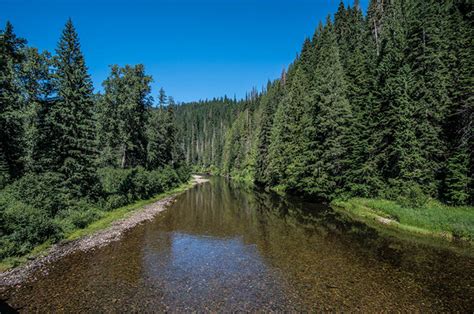 Blog - CDA River Scenes | Silver Bow Fly Shop