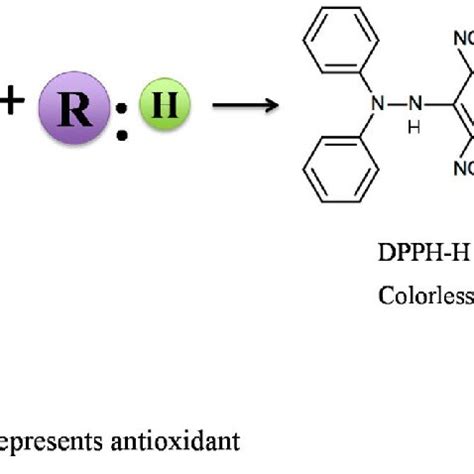 DPPH antioxidant mechanism | Download Scientific Diagram