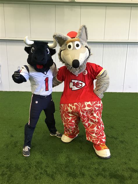 UNMASKING TORO: Meet the person behind the Texans mascot - ABC13 Houston