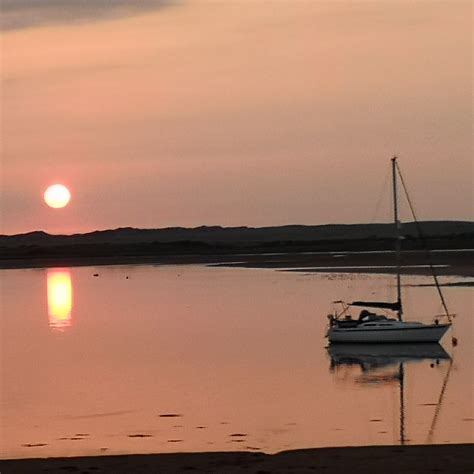 2021 Is Cumbria’s Year Of The Coast. ⛵🐟🌞 | sunshine and celandines