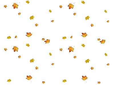 Falling Leaves Gif Transparent